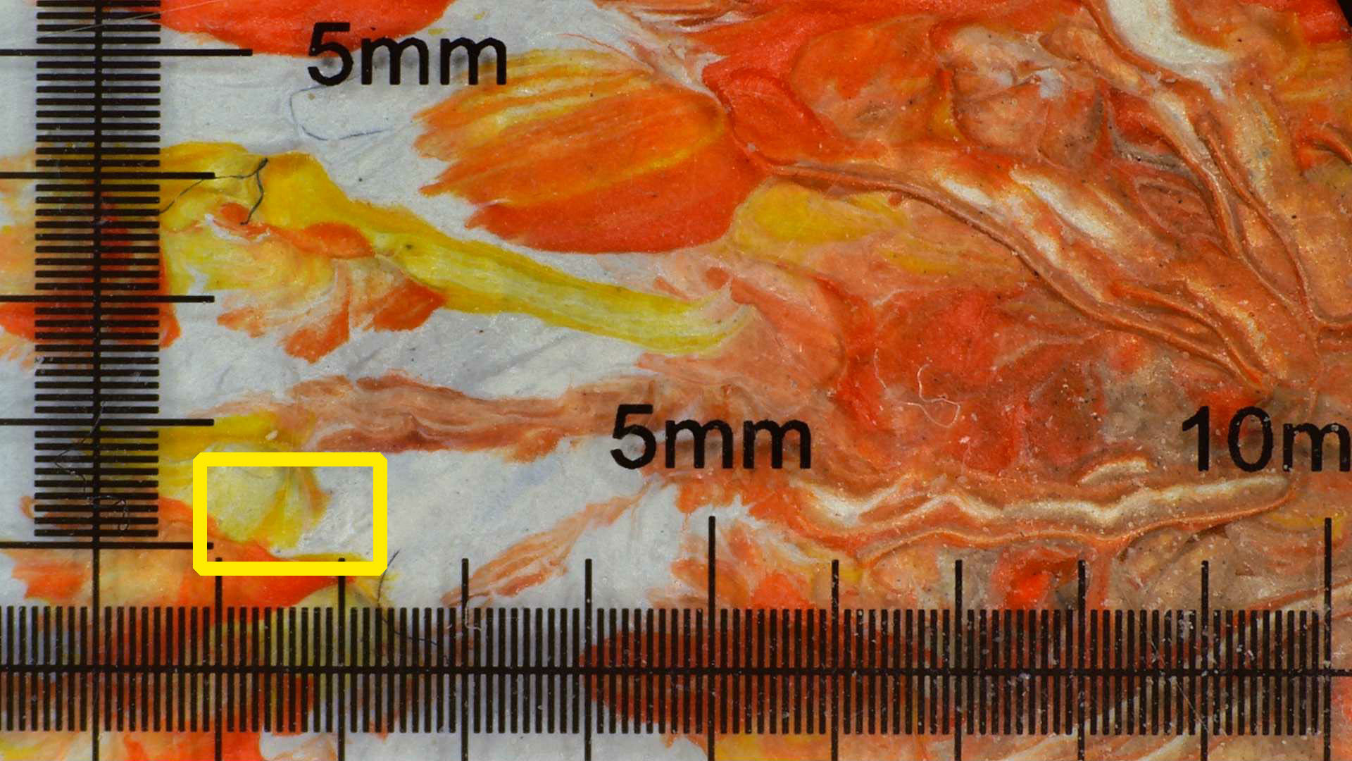 局部微米级别图片