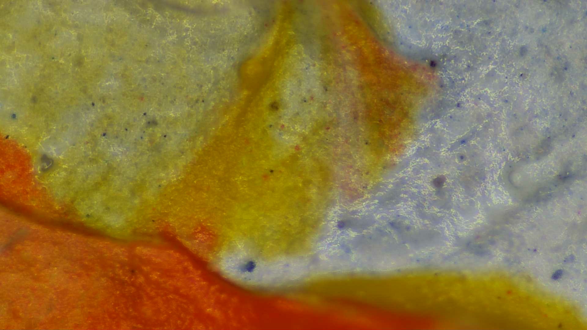 局部微米级别图片