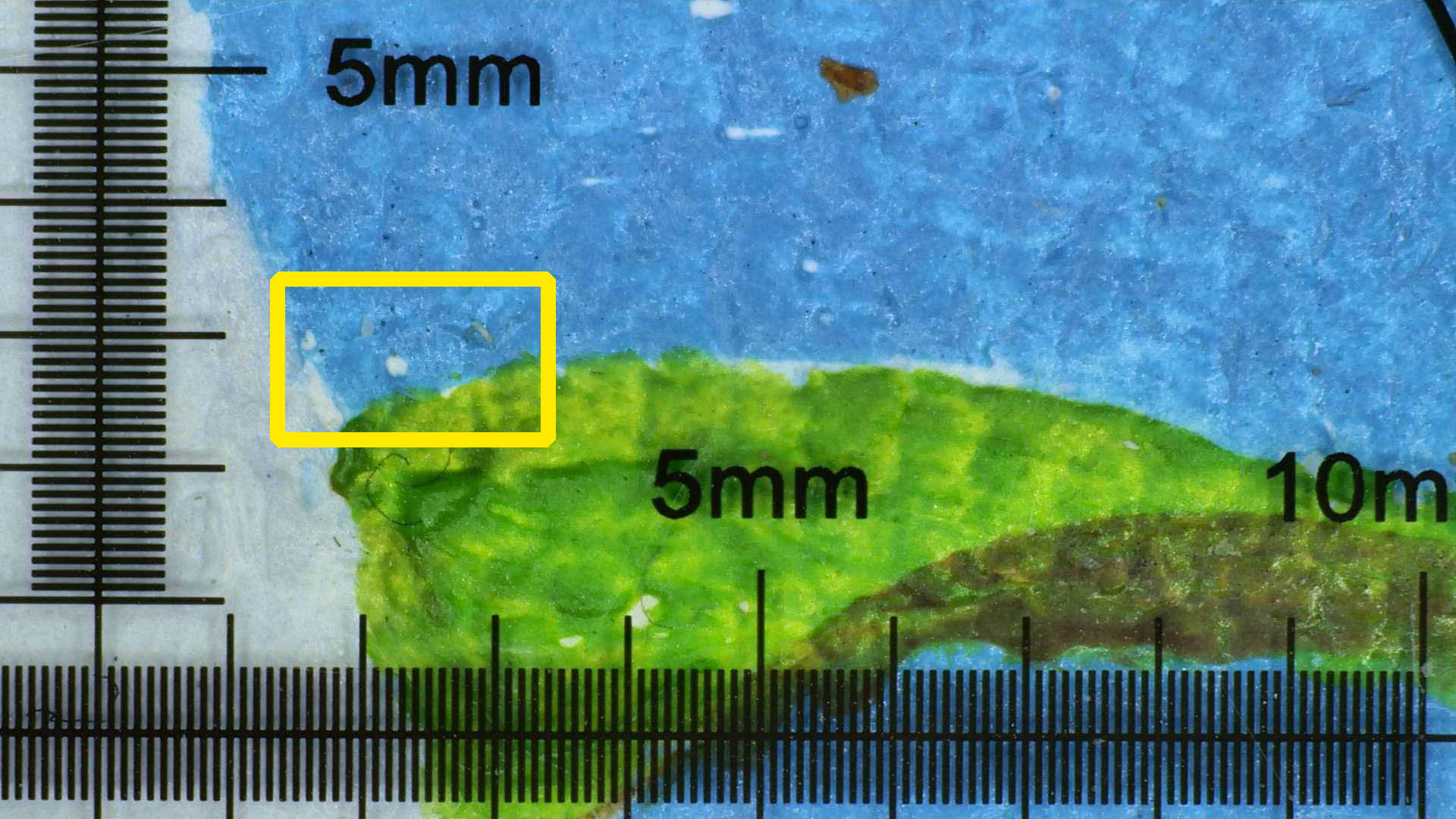 局部微米级别图片