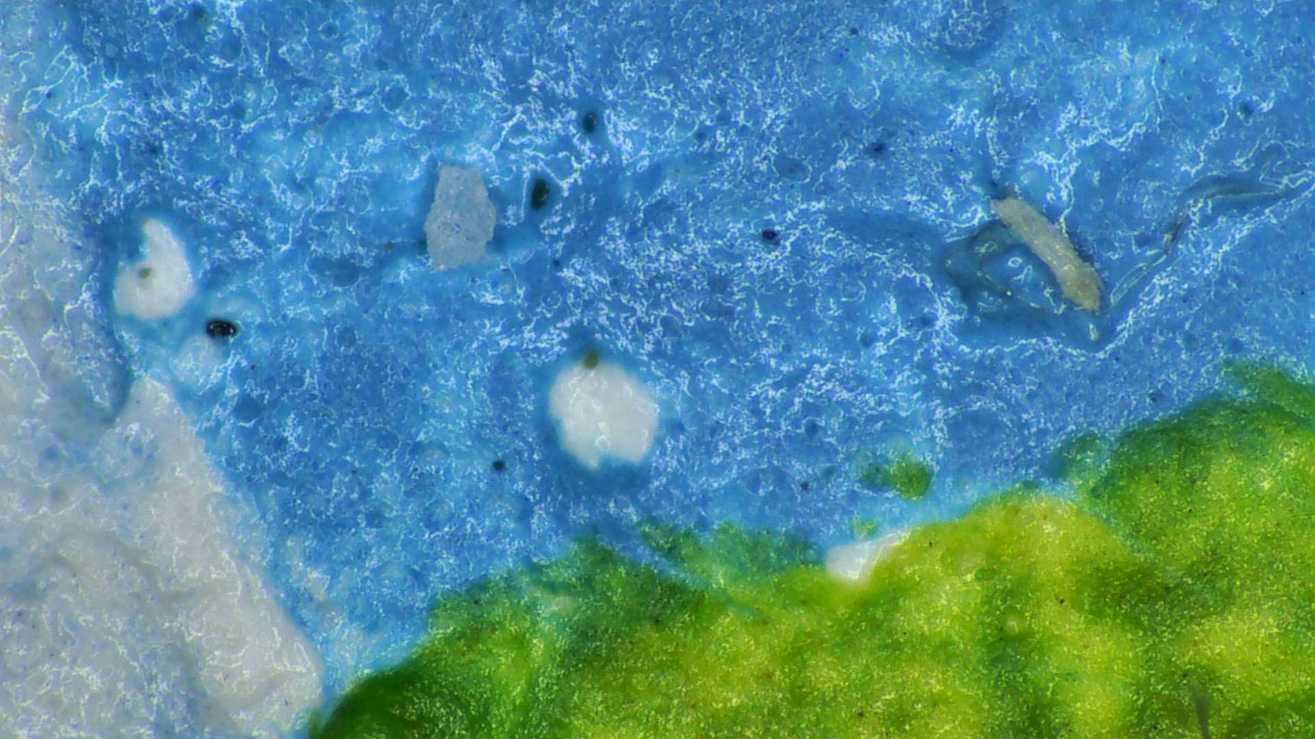 局部微米级别图片