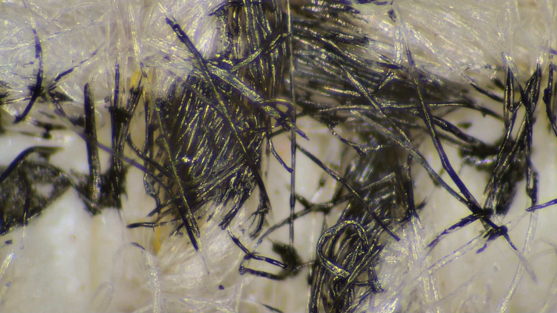 局部微米级别图片